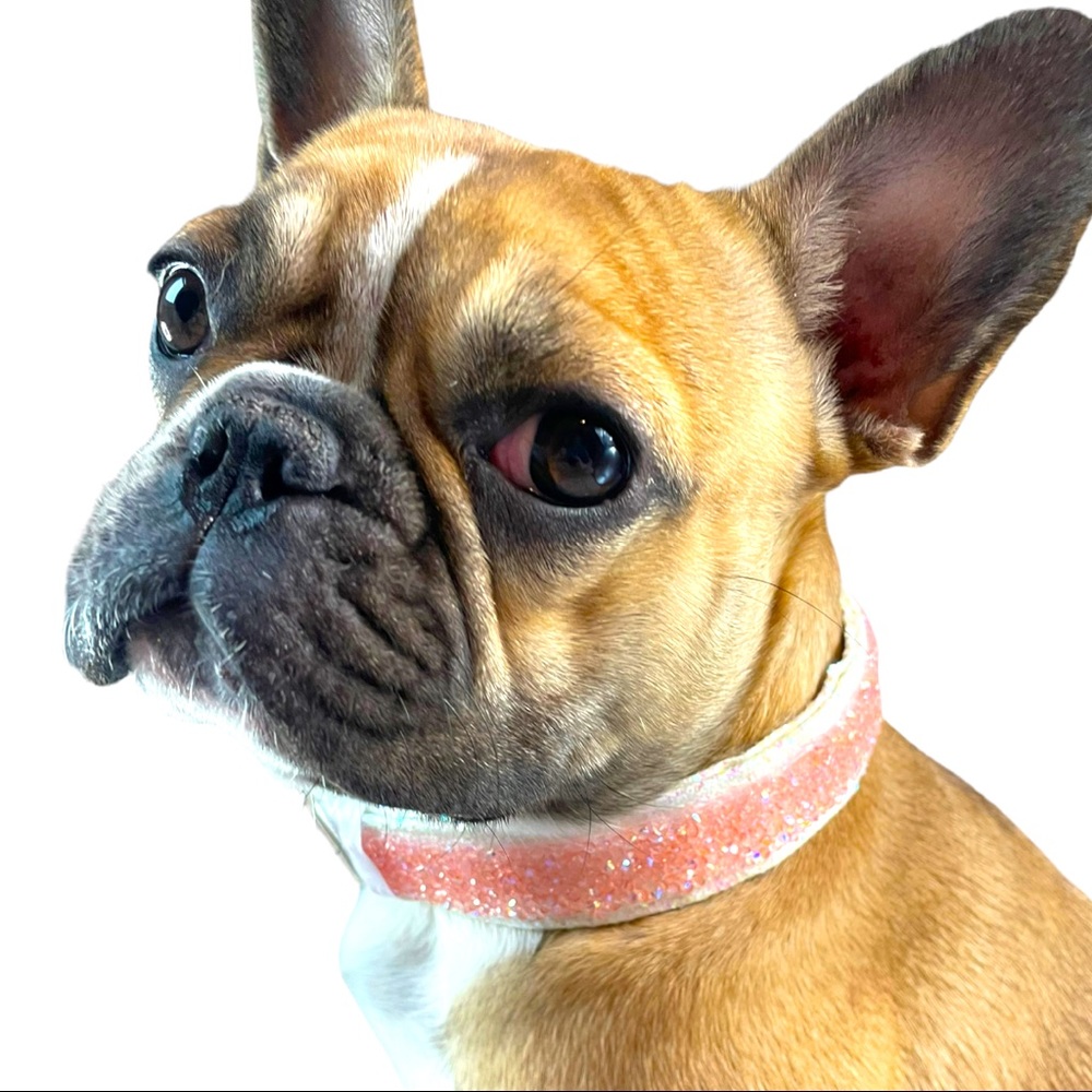 Pretty in pink collar